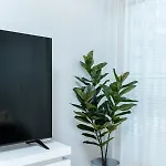 Quiet 2br Steps From Old Town, Parking Garage Tallinn